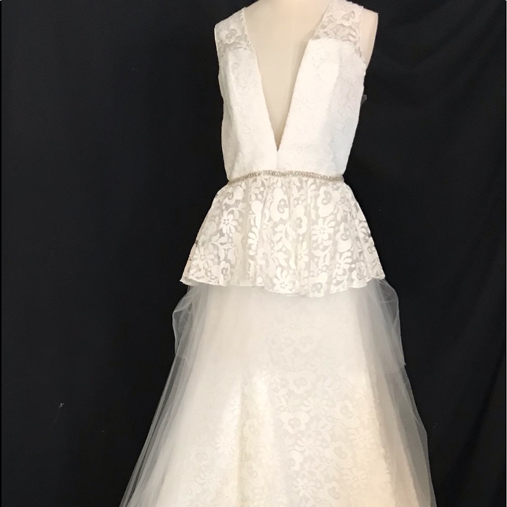 Pas De Deux, Designer, 8 Wedding Dress Ivory 2 Piece Silk Lace Gown Sheer NWOT